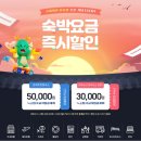 나문재법인 | [더케이몰] 하이원리조트 힐 그랜드 디럭스 35평형 내돈내산 예약 후기 (+교직원공제회)