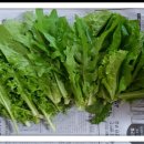 영구네농장 이미지