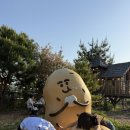 동면농협하나로마트 | [춘천여행] 1박2일 1일차 일정:: 옹기종기 감자밭 쉬러와쌀케이크 신북농협로컬푸드직매장 숙소바베큐파티