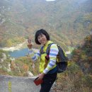 목일