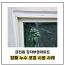 개미 | 청주 베란다 코킹 잘하는 곳? 금천동 장자부영아파트 누수 시공 후기 &lt;개미코킹&gt;