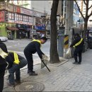 비젼(229) 이미지