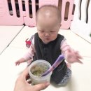팜투베이비 벤틀리이유식 우리 딸기도 즐겨 먹지요ㅎㅎ