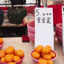 마송의류
