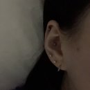 라이즈 팬콘 후기