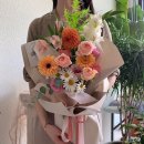 유비아플레르 이미지