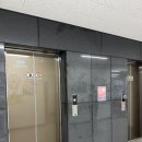 챈챈코인노래연습장 이미지