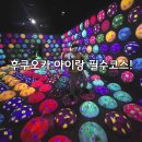 포레스트랩 | 후쿠오카 팀랩포레스트 후기｜하카타에서 가는법 + 아이랑 체험 꿀팁 총정리