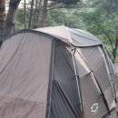 통나무Ⅱ 이미지