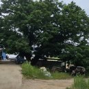 졸루정(拙陋亭) 이미지