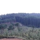 영월농장 이미지