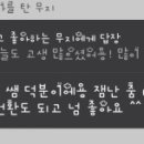 포인트영상