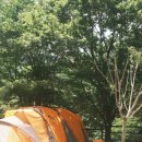 경남 지리산 계곡 캠핑장 우니메이카 산청 : 개별 샤워실, 명당 사이트