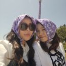 신안갯벌낙지식당 | [전남 신안 여행] 4060 추억 여행 추천! 온통 보랏빛으로 물든 퍼플 섬 (반월도·박지도) 방문기 &amp; 무료...