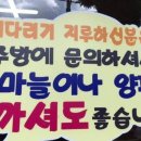 창조식당 Daum카페