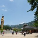 속리산 법주사 이미지