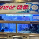싱싱해싱싱어수산 이미지
