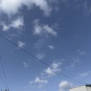 동남재벌공인중개사사무소 | [일상] 삼일점 맞이 유기견봉사? 암튼 3월 봉사 다녀왔슴둥!