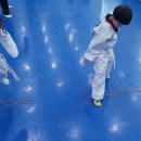 MNT 태권도 스포츠센터 이미지