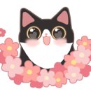 (주)오픈앨리 이미지