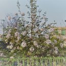 석란정펜션 이미지