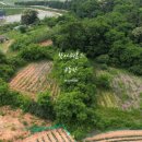 청주역공인중개사사무소 이미지