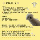 로로아로 이미지