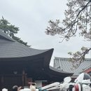 실사랑