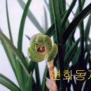 천향원 이미지