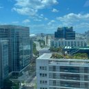 세무법인영진