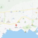 서귀포해장국의전설 네이버블로그