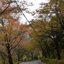 아름다운산골