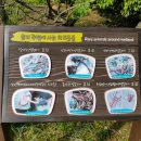 탐험대민박 이미지