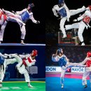 올림픽태권도 이미지