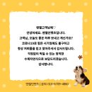 펫츠빌리지