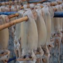 풍년LPG충전소 이미지