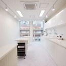 고양이 이발관 이미지