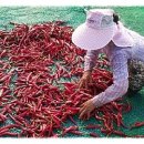 원택농장 이미지