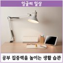 잉글리시아이신명초점
