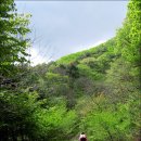 바람의노래 이미지