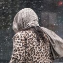 대흥축사 이미지