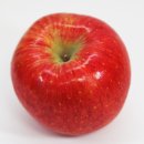 광화문상회 이미지