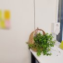 백석세탁 이미지