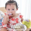 아기이유식 팜투베이비 완료기 야채큐브 <b>더하기</b>