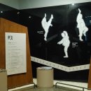 세계무술박물관 이미지