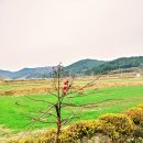 꿈이룸지역아동센터 이미지