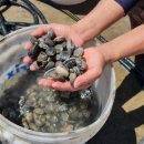 배가정원민박 이미지