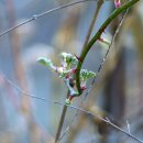 함평자연생태공원 이미지