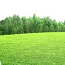 제일구조기술사사무소 - 서초구 반포대로14길 36 | 제일구조기술사사무소
