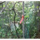 식물원주유소 이미지